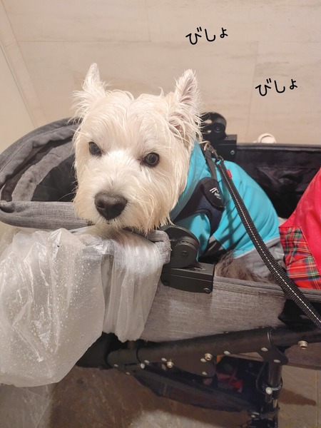 22-10-13-18-45-46-607_deco