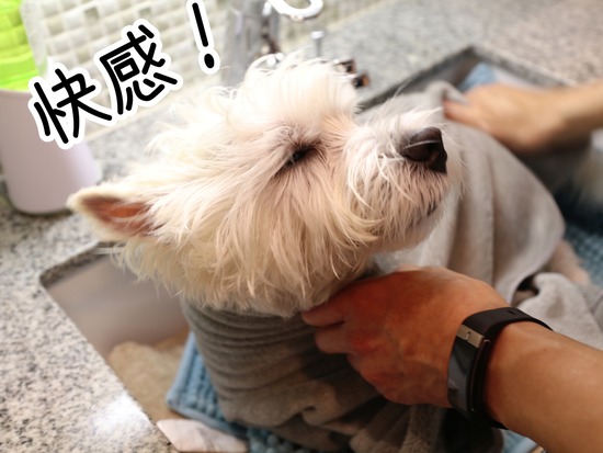 21-09-23-13-24-53-605_deco