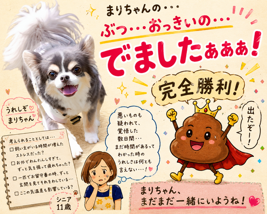 「老衰以外は認めない」まりちゃんとの時間をもうかった気分です