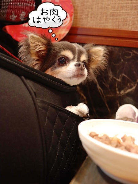 24-07-25-17-42-24-596_deco