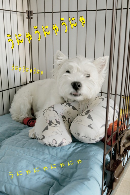 18-06-08-13-47-05-383_deco