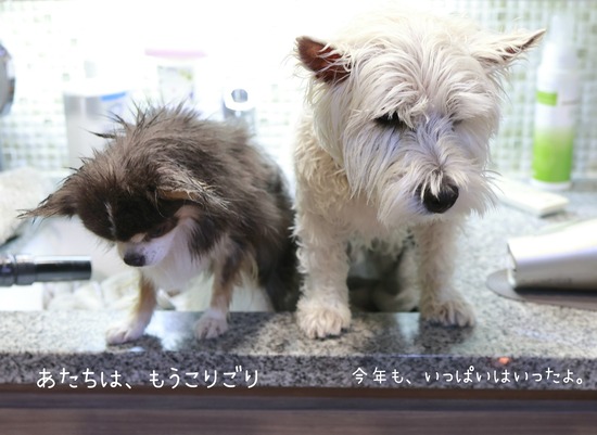 25-12-31-07-46-11-485_deco