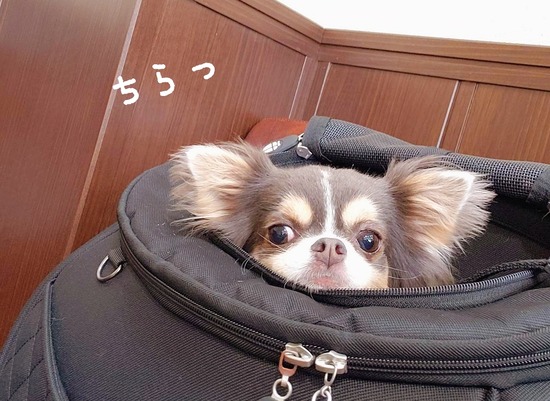 20-06-20-06-37-04-977_deco