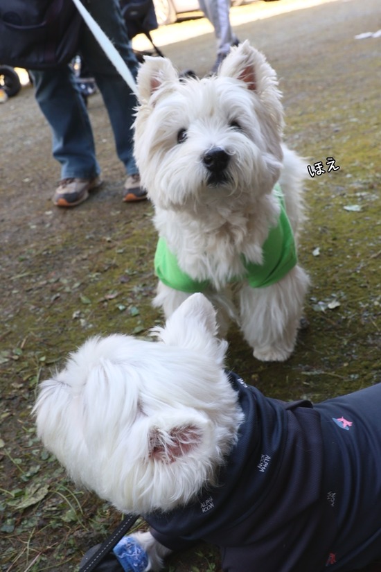 22-10-25-10-02-01-807_deco