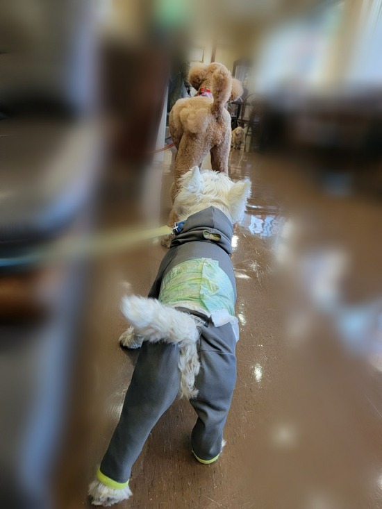 Point Blur_20211203_095617