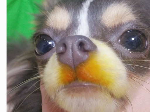 52 2