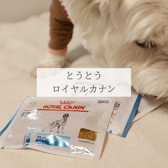 【アトピー】病院へ行く。