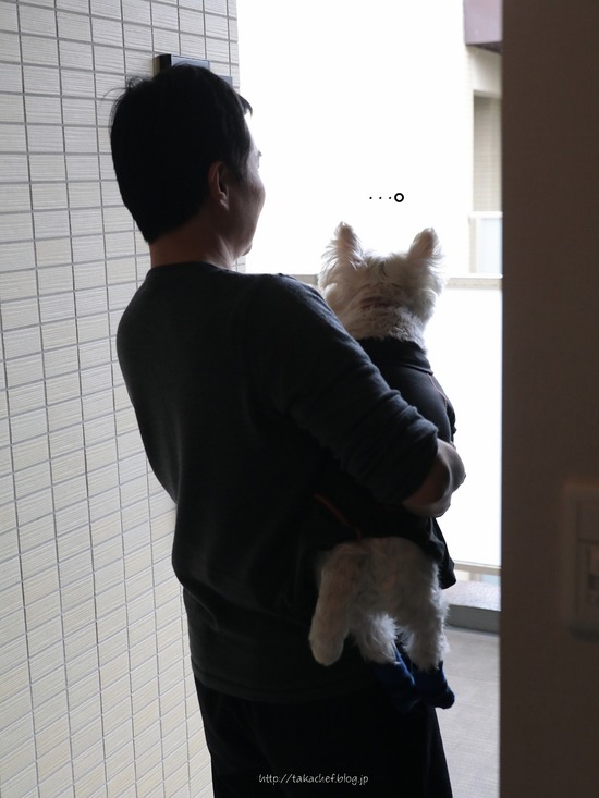 21-01-29-08-32-22-594_deco