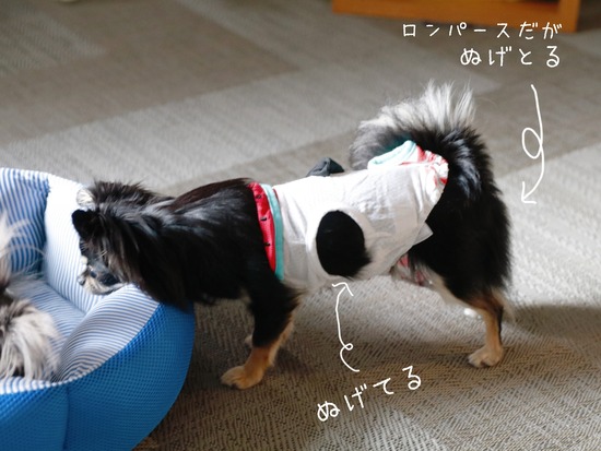 21-10-12-07-19-54-487_deco