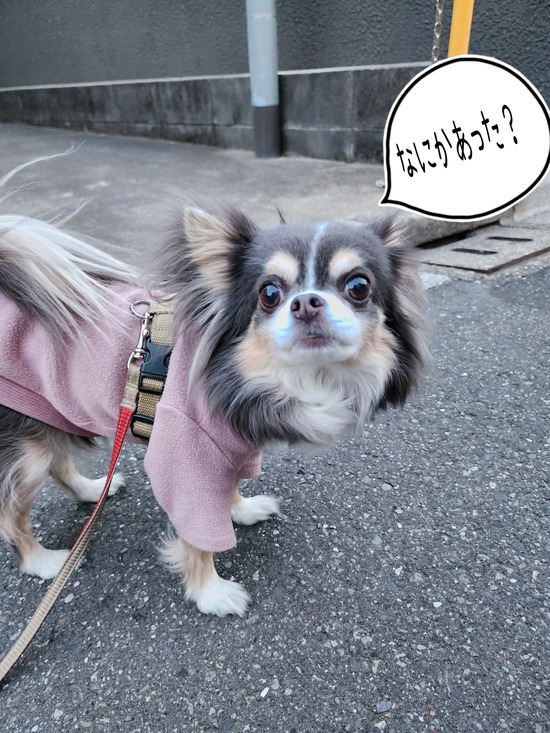 24-03-14-18-23-38-942_deco