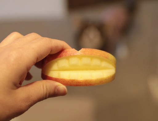 41 1