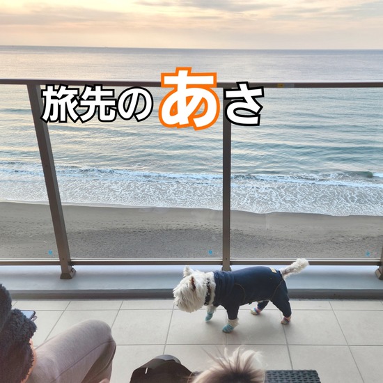 旅先の朝