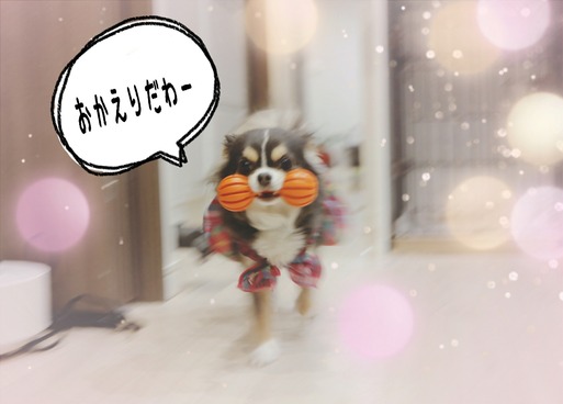ãã¯ã¯ãããªã¼