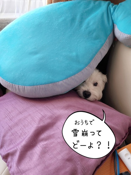 22-11-02-12-48-12-106_deco