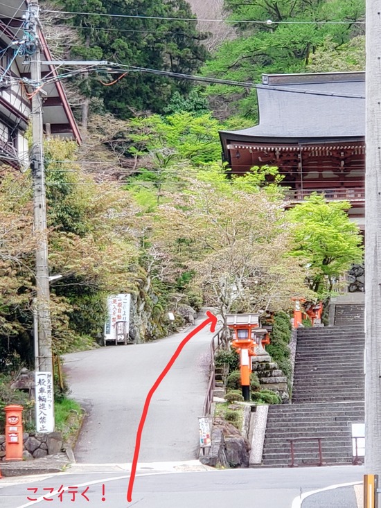 22-04-17-13-19-30-487_deco