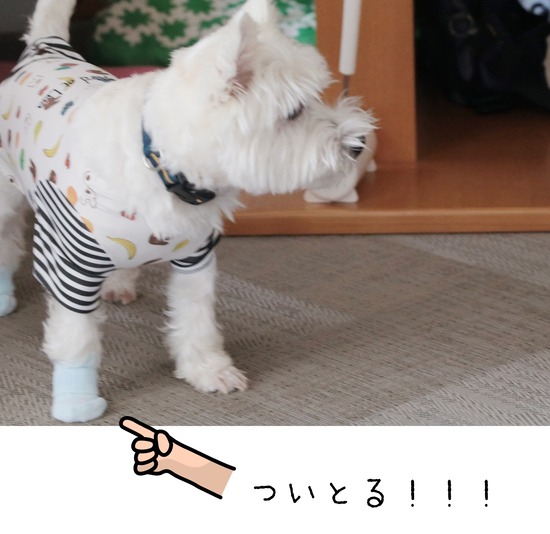 20-08-21-15-58-57-000_deco