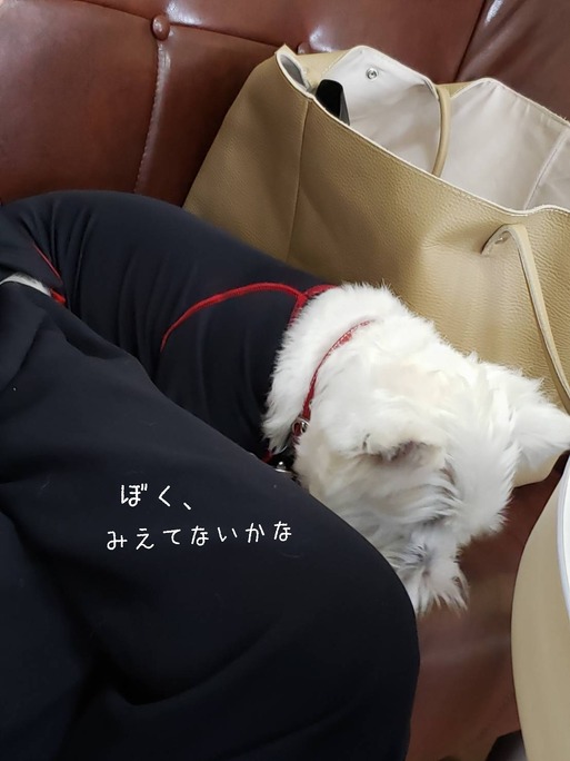 19-07-16-15-28-44-886_deco