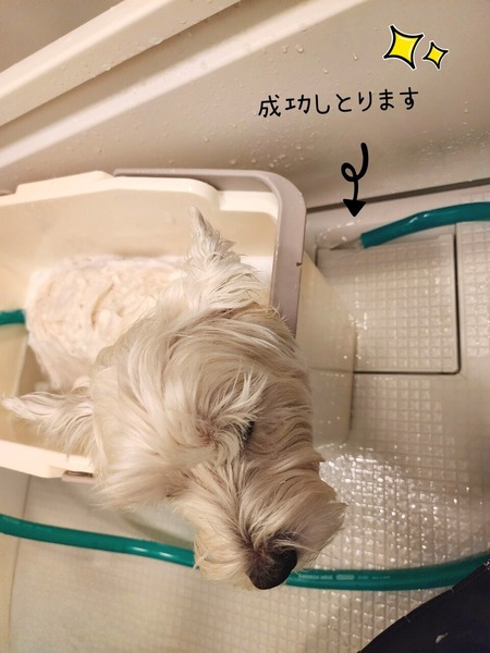 23-02-10-00-52-55-328_deco