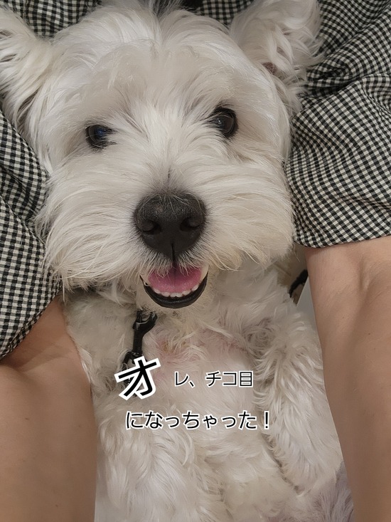 目の周りを切っただけなのに、こんなに違う！