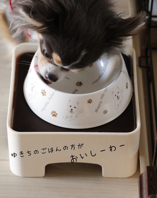 【犬グッズ】ご質問お返事　　ハリオワンテーブル