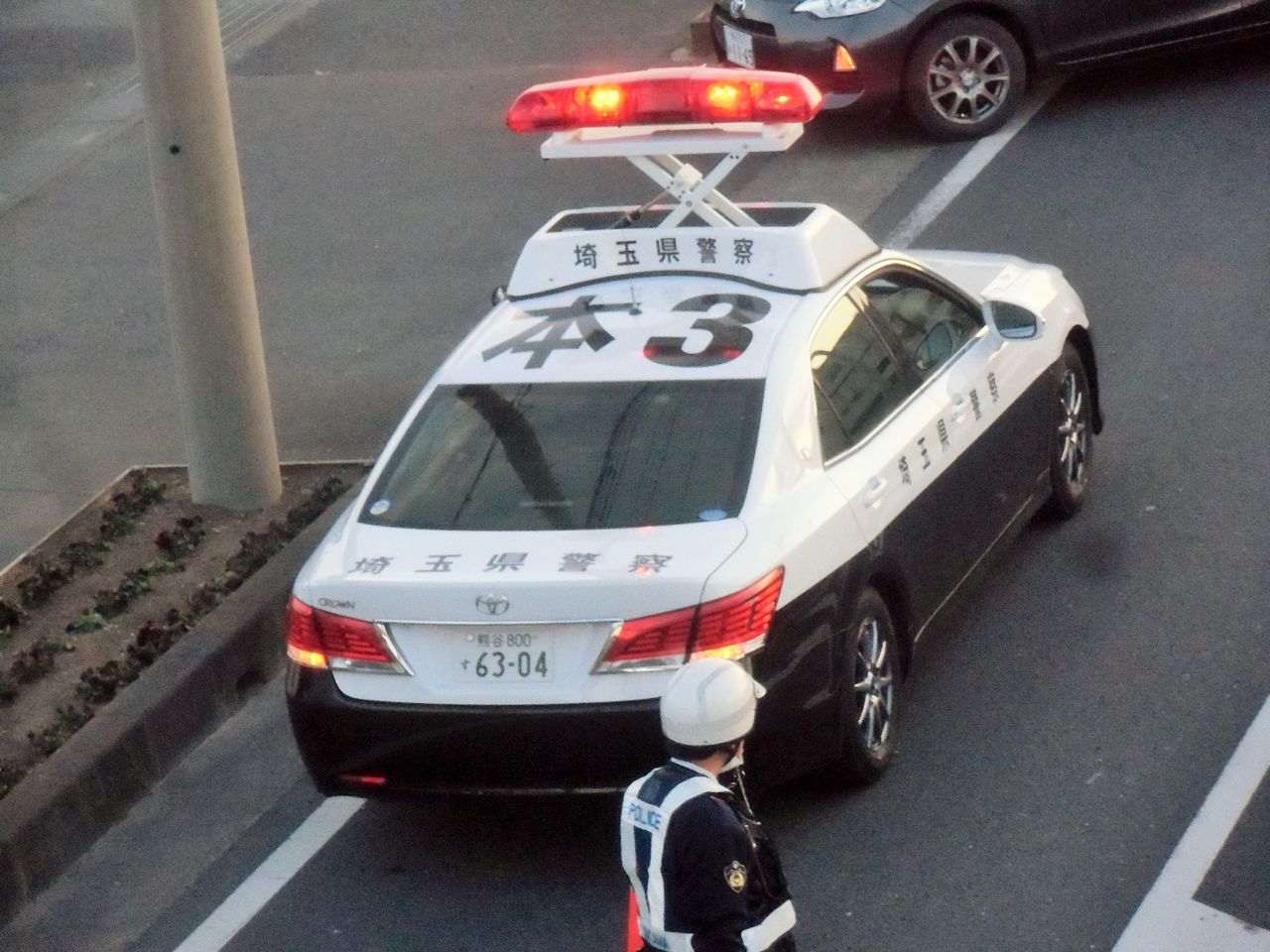 17年03月 草ヒロ探検日記 新