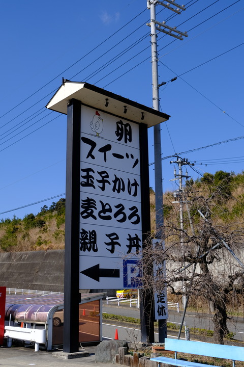 DSCF6663