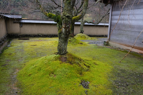 ぶけやしき12