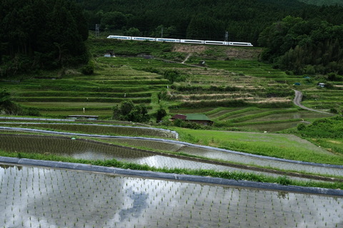DSCF7094