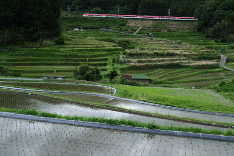 DSCF7087