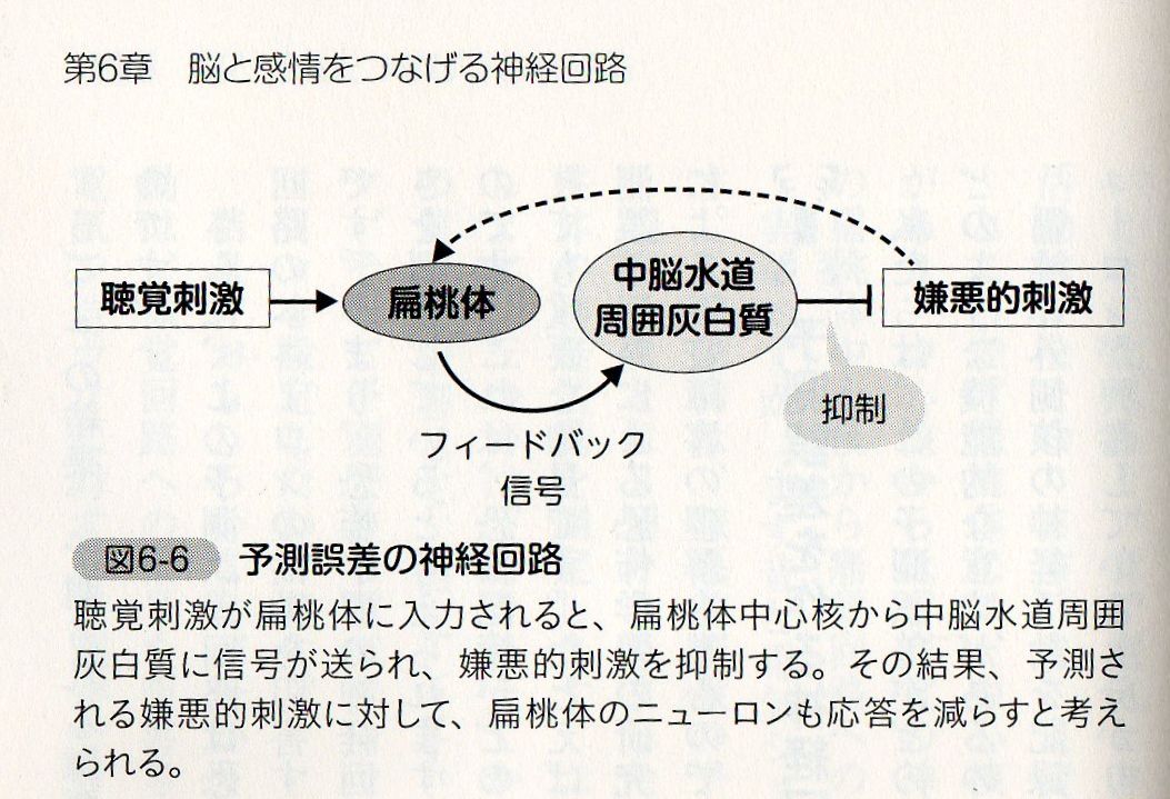予測誤差とフィードバックによって神経回路を制御 髙岸悟の研究