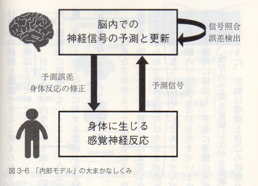 自己意識は 予測 の上に成り立つ 髙岸悟の研究