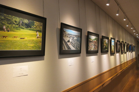 IMG_6257