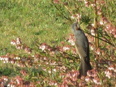 IMG_1771