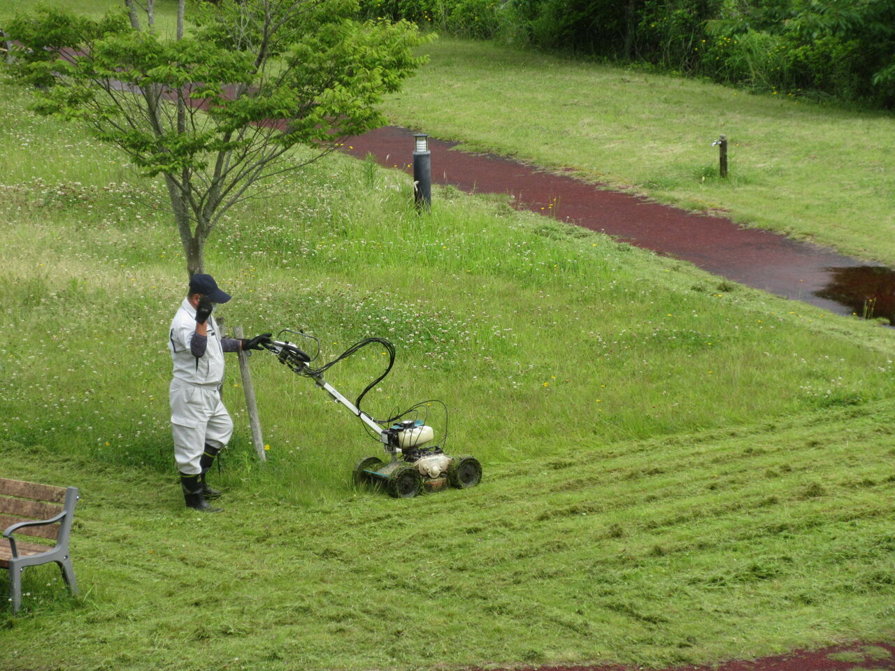 病院中庭より 県北医療センター高萩協同病院のブログ