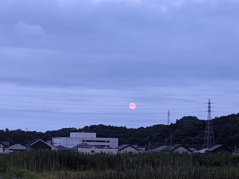 PXL_20210723_095205065