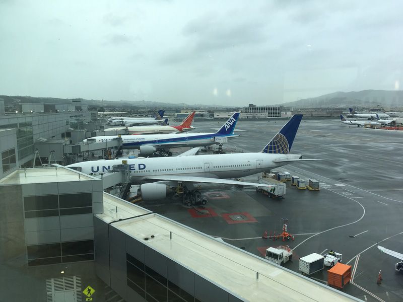 空港探訪】P3Dで行く JAL定期就航地巡り30 サンフランシスコ国際空港
