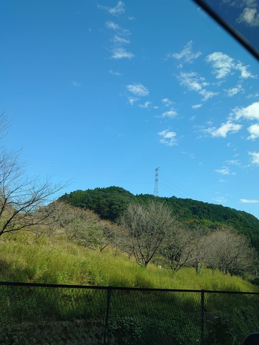 IMG_20231016_125202