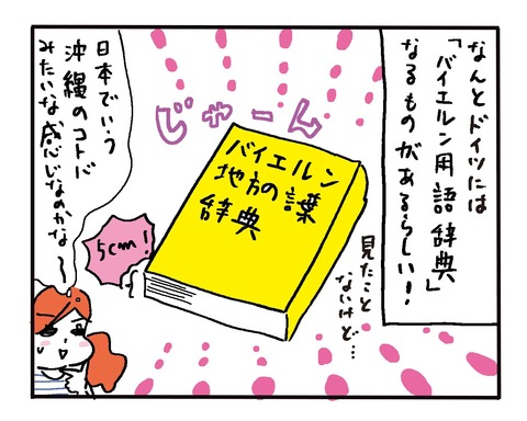 2018-colombia-HP-11gatsu-3