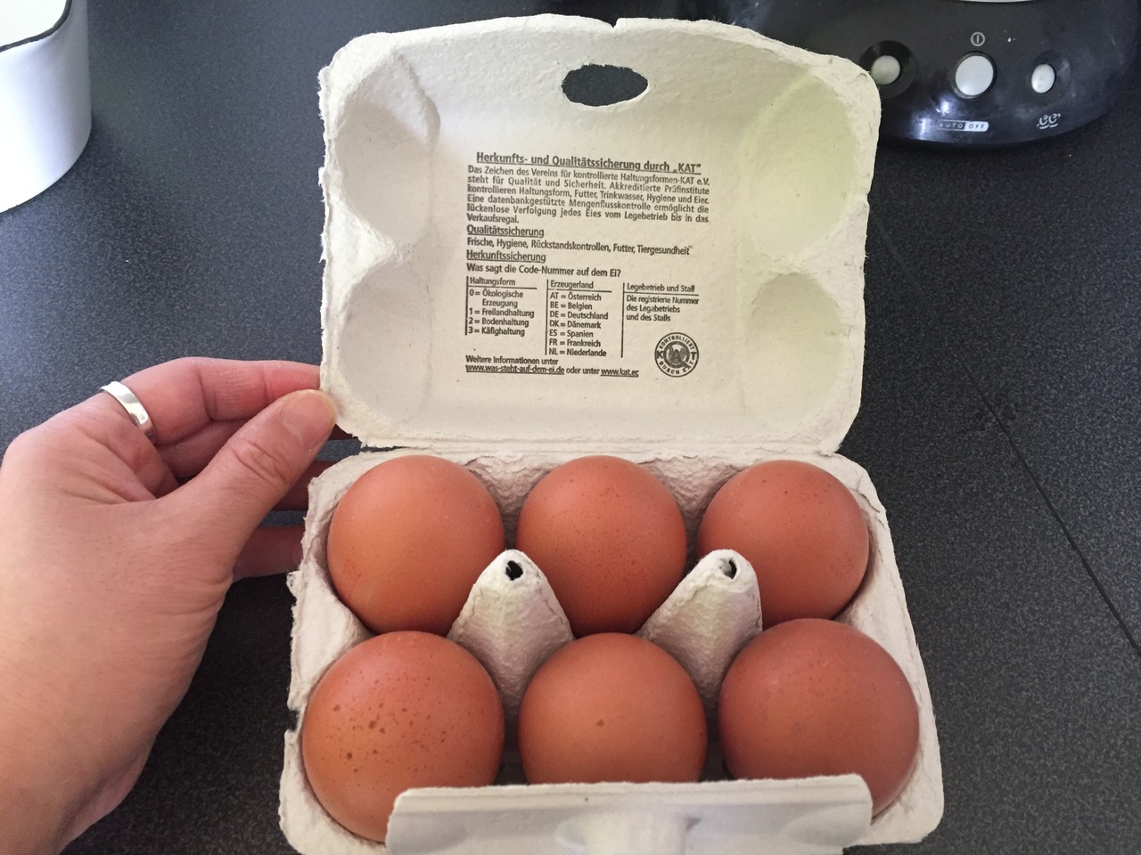 ドイツの卵 高橋ユウのこんな自分でええですか ドイツ De 子育て編