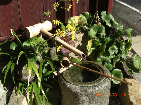 2013_1229_124132-CIMG1905