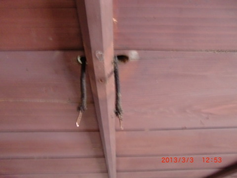 2013_0303_125342-CIMG4066