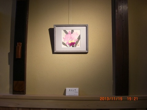 2013_1115_152115-CIMG1755 (640x480)