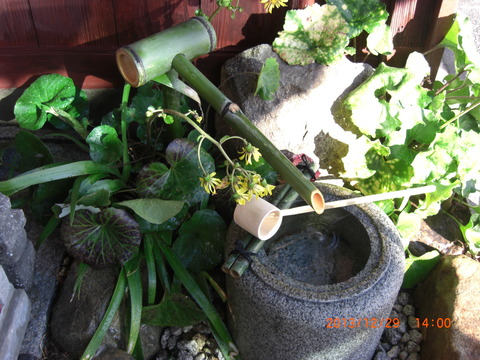 2013_1229_140008-CIMG1906