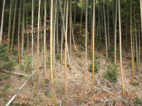 2013_1207_143238-CIMG1798