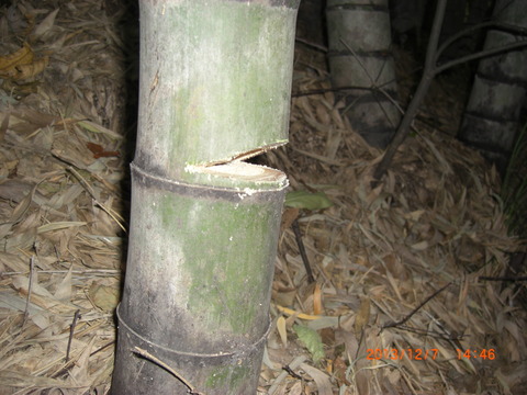 2013_1207_144616-CIMG1800