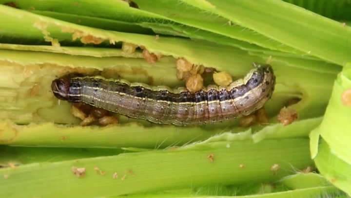 Screenshot_(1290)[1]