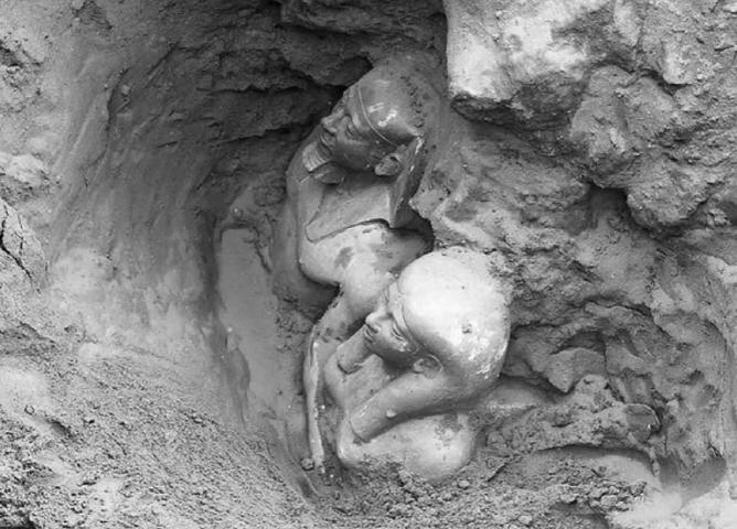 スクリーンショット (448)