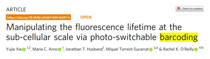 スクリーンショット (817)