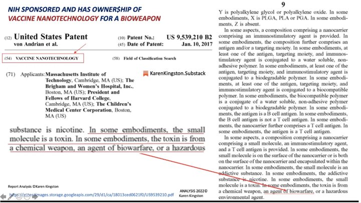 スクリーンショット (1049)