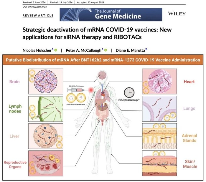 スクリーンショット (882)